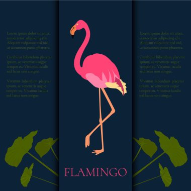 Pembe flamingo şablonu