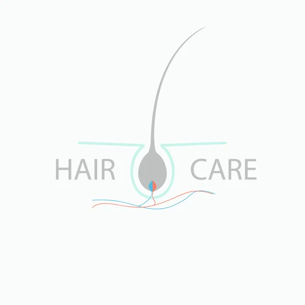 Hair care logo — Stock Vector