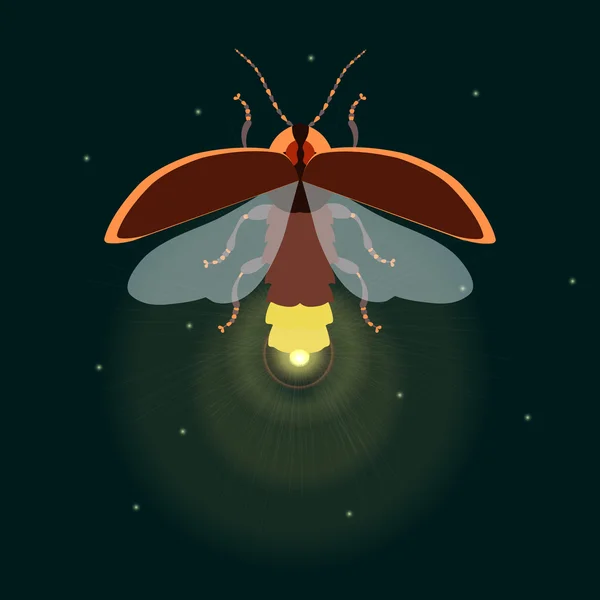 Firefly açık kanatlı — Stok Vektör