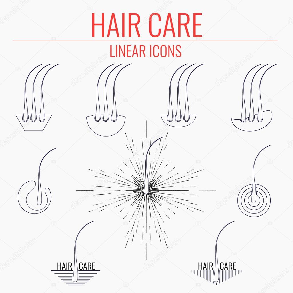 Hair care linear icon set. Set of hair bulb symbols. Hair medical diagnostics symbol. Hair care logo. Hair follicle signs. Hair medical center poster. Hair loss treatment concept. Vector illustration.