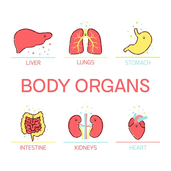 Corpo órgãos desenho animado conjunto —  Vetores de Stock