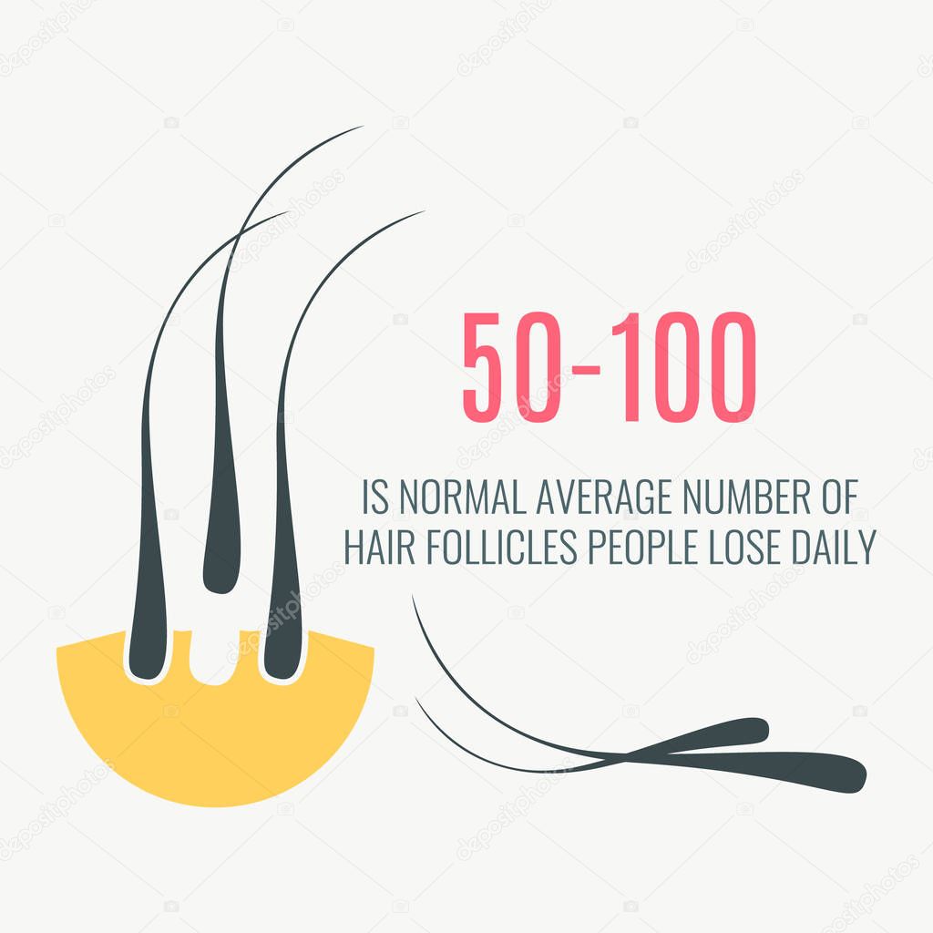 Hair loss amount infographics