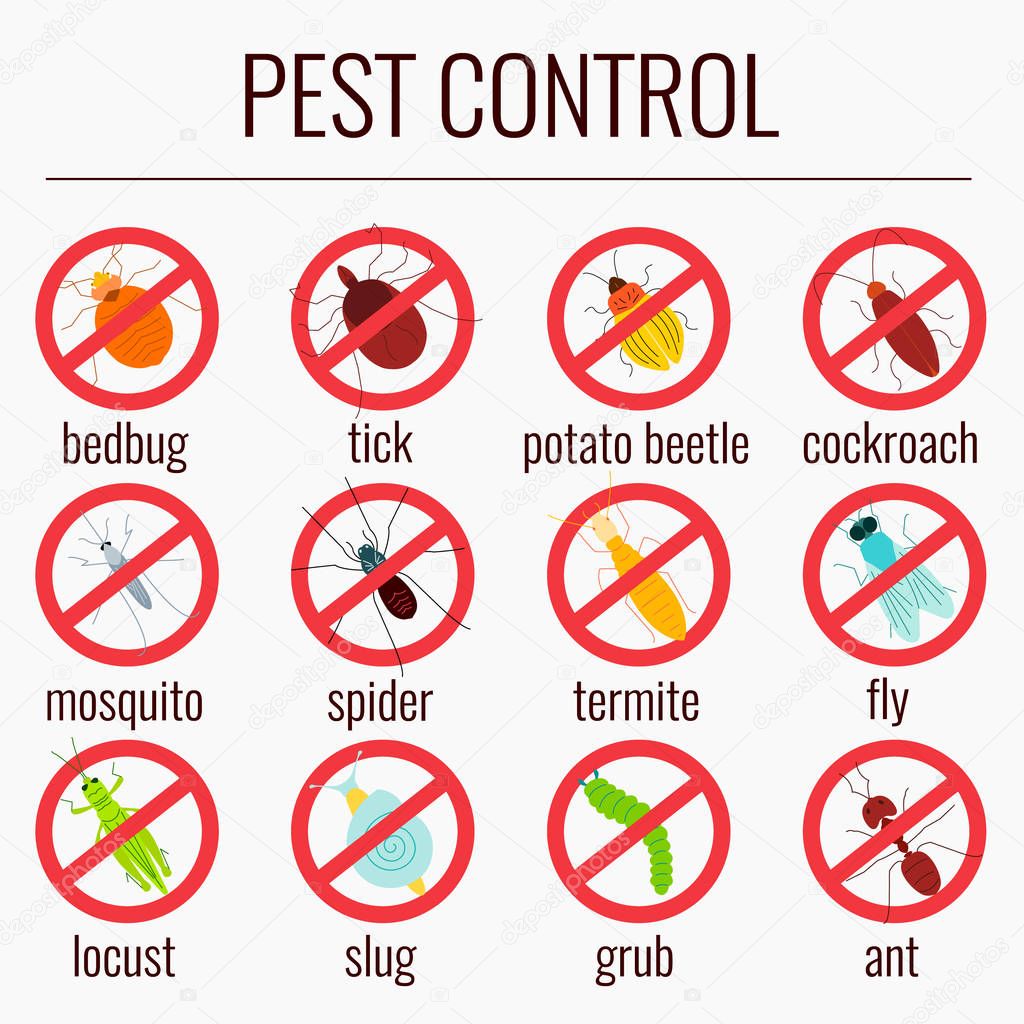 Pest insects with prohibition sign