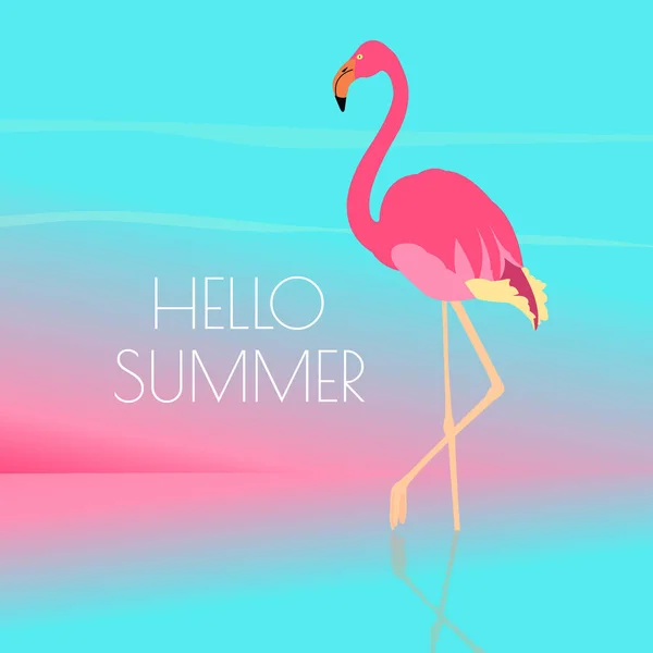 Flamingo zomertijd poster — Stockvector