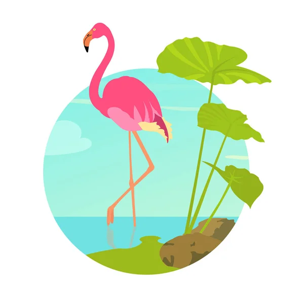 Plakat Flamingo czas letni — Wektor stockowy