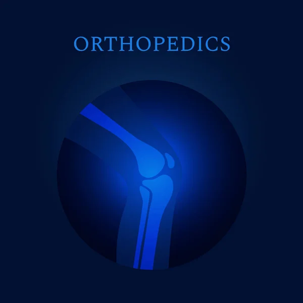 Knee joint x-ray orthopedics medical vector template — 스톡 벡터