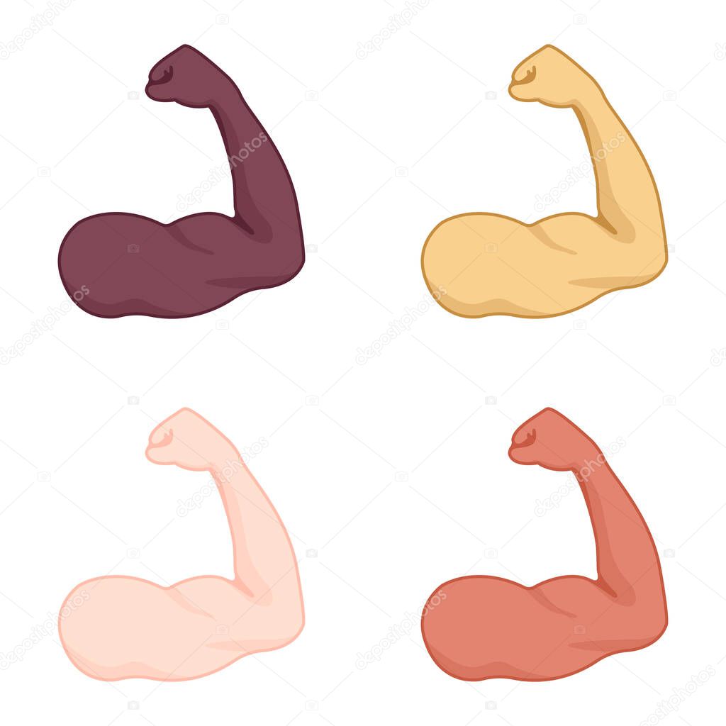 Set of strong muscular hands of different races and colors