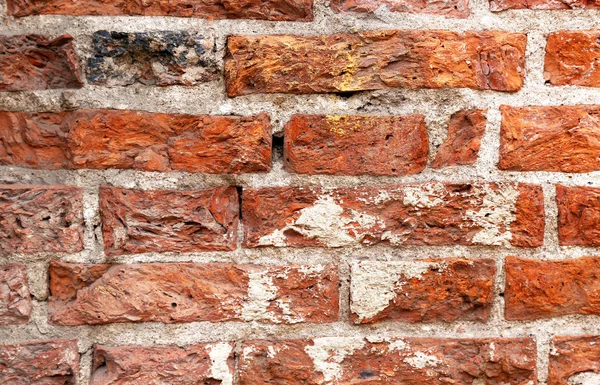 Brick cement wall as background