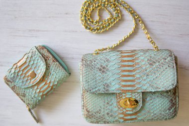 Dört farklı renkte modayı takip eden yeşil boyanmış yılan derisi dokusu arkaplan ve duvar kağıdı için kapatılıyor