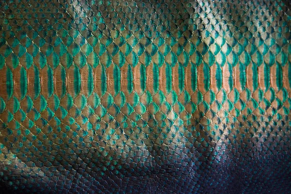 Trendy green painted snake python skin surface texture close up for background and wallpaper
