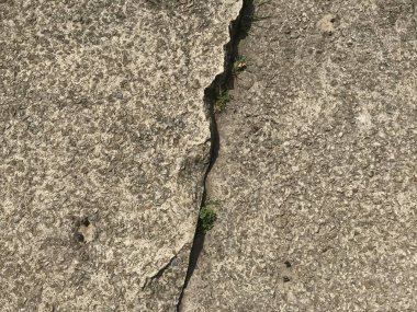 Gri, pejmürde arkaplanı kapat