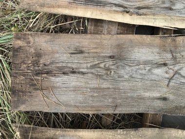 Eski Orman Arkaplanı. Doğa Duvar Kağıdı. Ahırın duvarı.