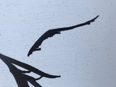 Işık yüzeyinde siyah boya