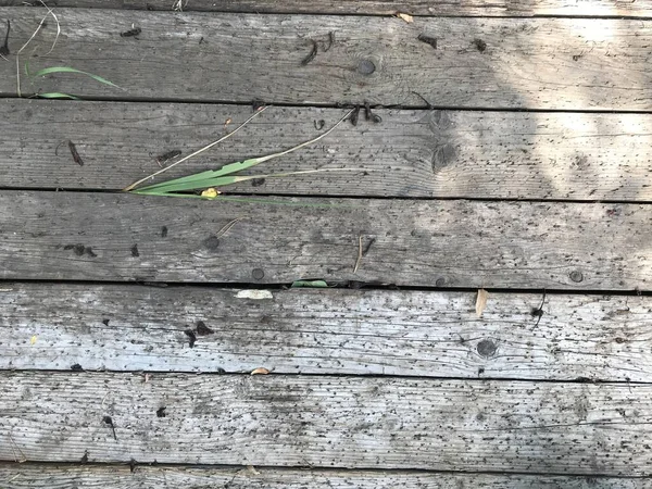 Fondo Madera Vieja Fondo Pantalla Naturaleza Pared Del Granero — Foto de Stock