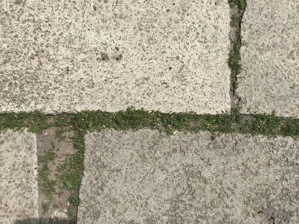 Blick Von Oben Auf Pflastersteine Stadtpark — Stockfoto