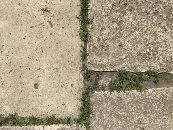 Blick Von Oben Auf Pflastersteine Stadtpark — Stockfoto