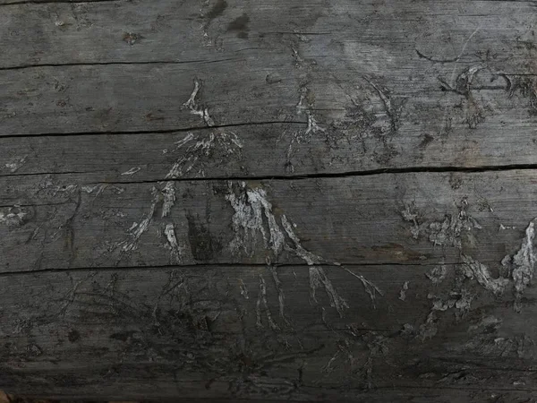 Natural Old Wood Background Closeup Shot — Stock Photo, Image