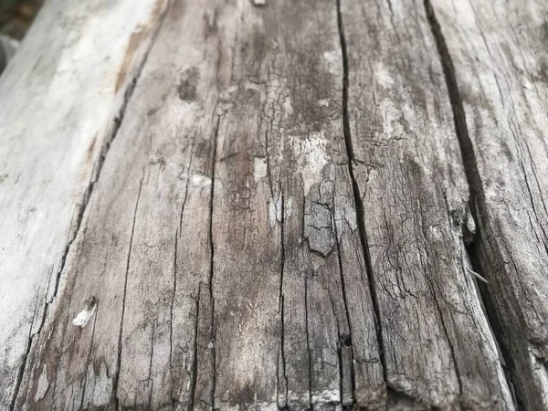 Přírodní Staré Dřevo Pozadí Detailní Záběr — Stock fotografie
