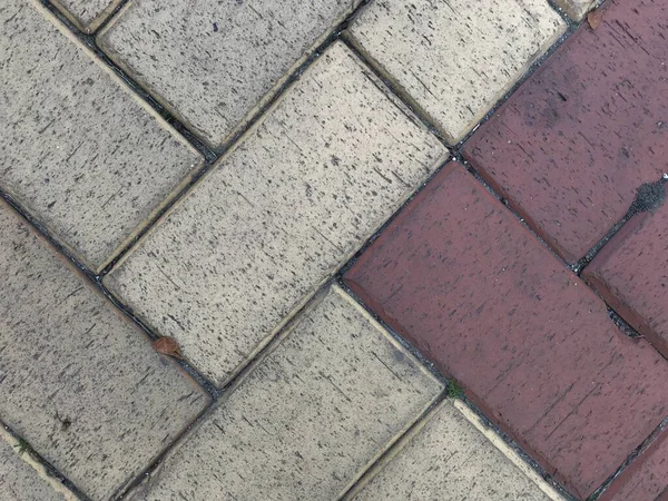 都市公園内の舗装石のトップビュー — ストック写真