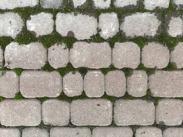 Şehir Parkındaki Kaldırım Taşlarının Üst Görüntüsü — Stok fotoğraf