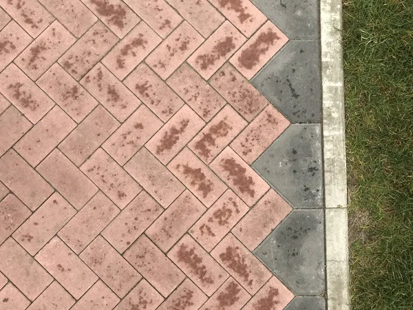 Blick Von Oben Auf Pflastersteine Stadtpark — Stockfoto