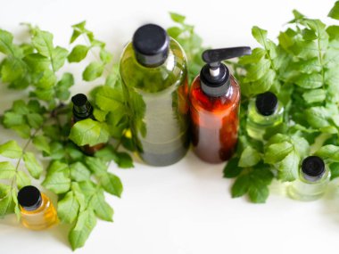 Kozmetik şişe kapları ve beyaz arka planda yeşillik. Doğal organik ürün. Güzellik blogcusu, salon terapisi, markalaşma modeli, minimalizm konsepti.. 