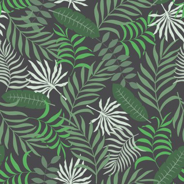 Palmiye yapraklı tropik arkaplan. 