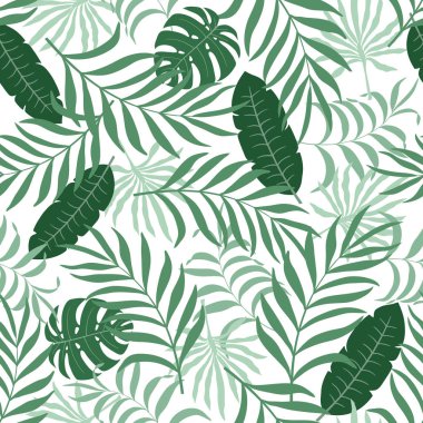 Palmiye yapraklı tropik arkaplan. 