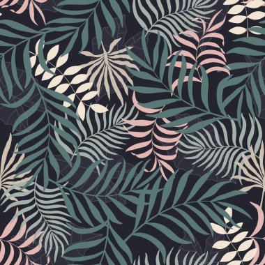 Palmiye yapraklı tropik arkaplan. 