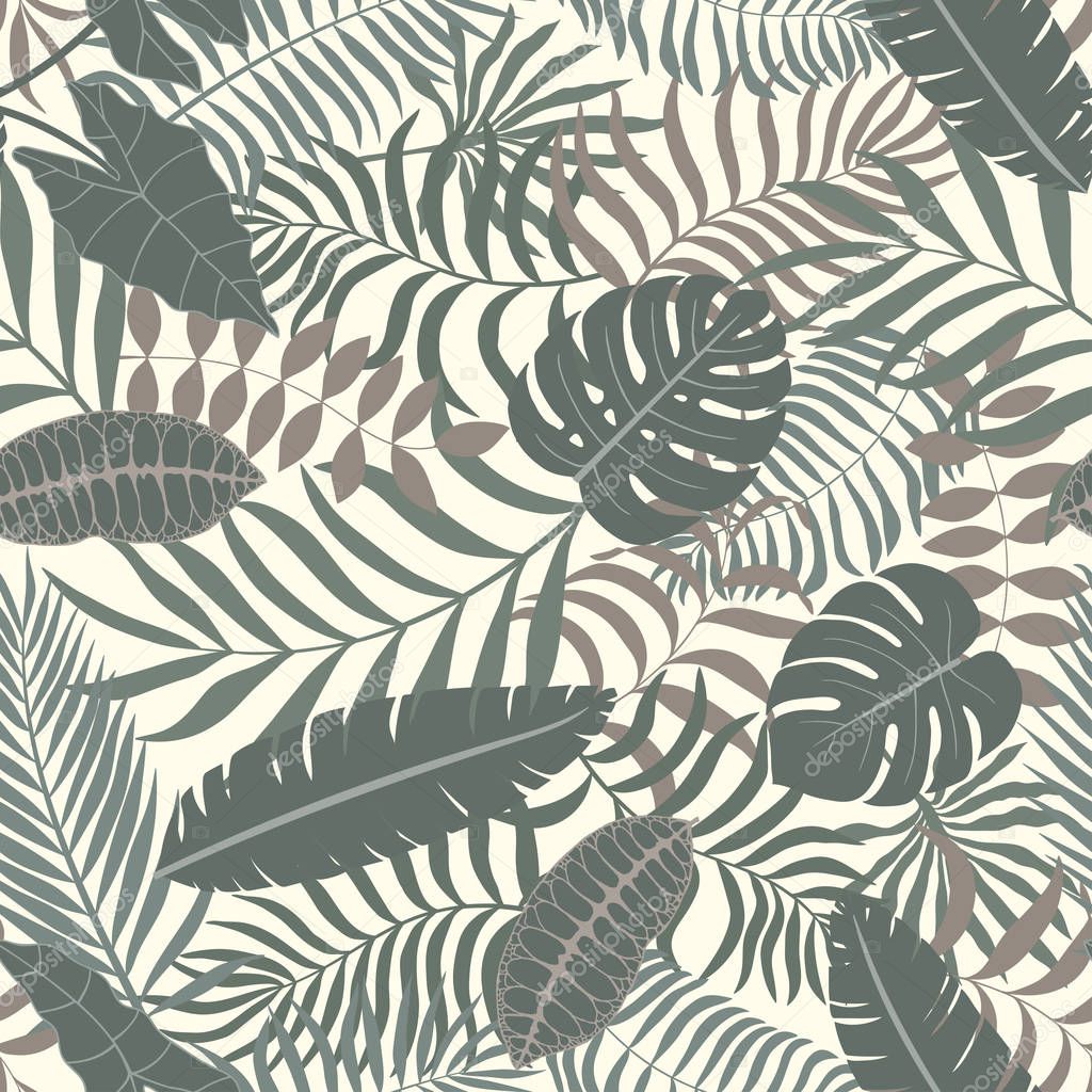 Tropical background with palm leaves.