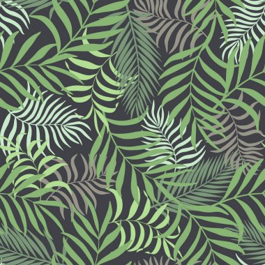 Palmiye yapraklı tropik arkaplan. 