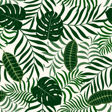 Palmiye yapraklı tropik arkaplan. 