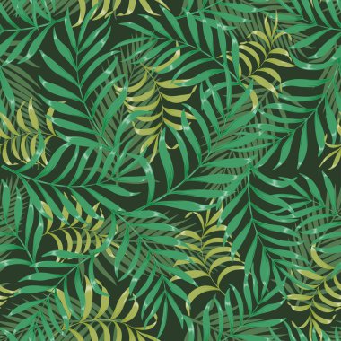 Palmiye yapraklı tropik arkaplan. 