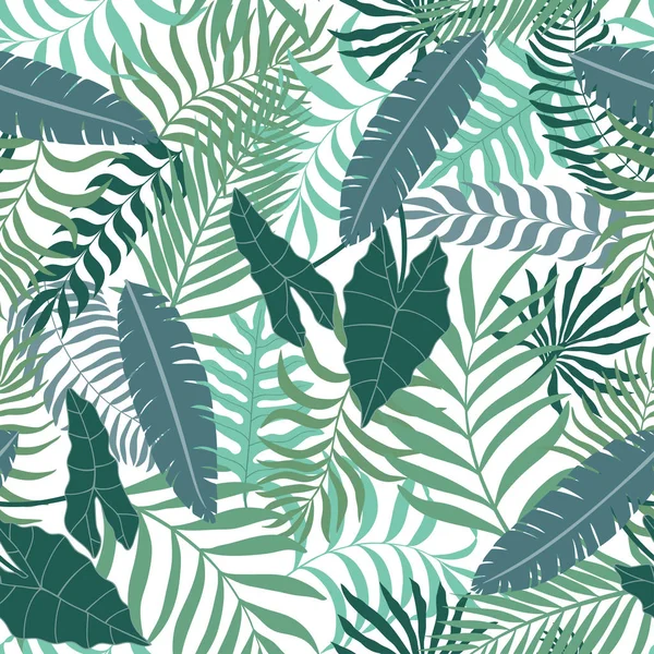 Fundo tropical com folhas de palma. —  Vetores de Stock