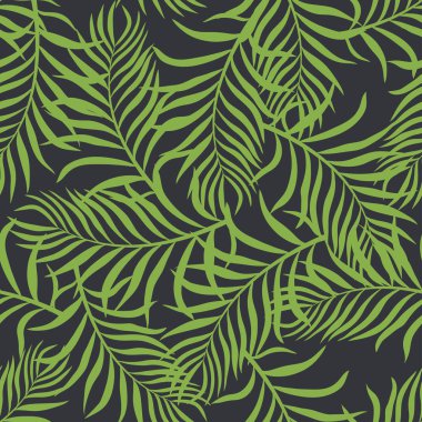 Palmiye yapraklı tropik arkaplan. 