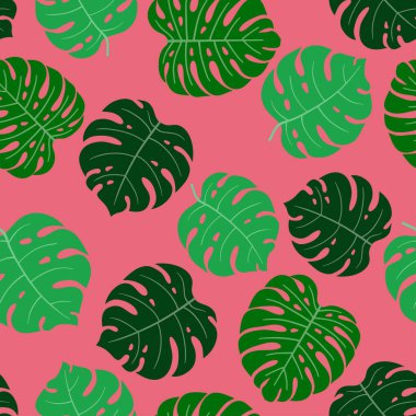 Canavar yapraklı tropik bir arka plan. Kusursuz çiçek deseni. Yaz vektör illüstrasyonu. Düz orman izi