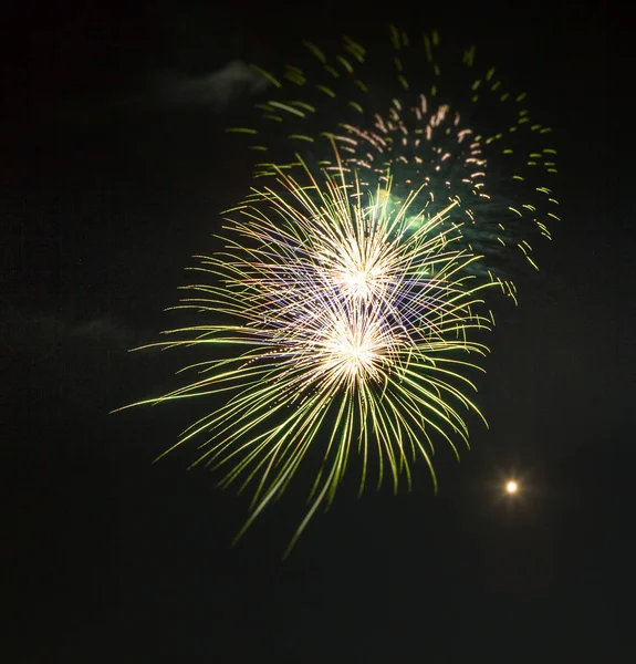 Fuochi d'artificio isolati su sfondo nero — Foto Stock