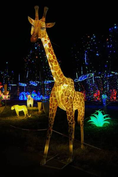 ışık dekorasyonu Çin kağıdı ve metal geleneksel zürafa