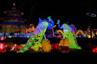 ışık dekorasyonu Çin kağıdı ve metal geleneksel tavus kuşu