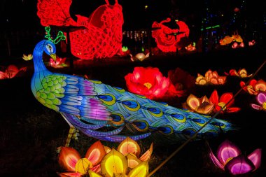 ışık dekorasyonu Çin kağıdı ve metal geleneksel tavus kuşu