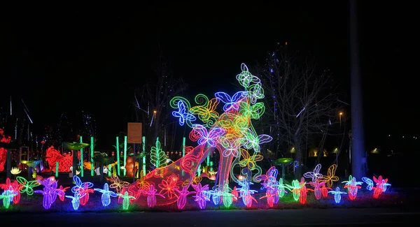 Verlichting decoratie chinees papier en metaal traditionele lantaarn led feniks met bloemen — Stockfoto