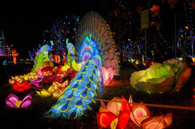 ışık dekorasyonu Çin kağıdı ve metal geleneksel tavus kuşu