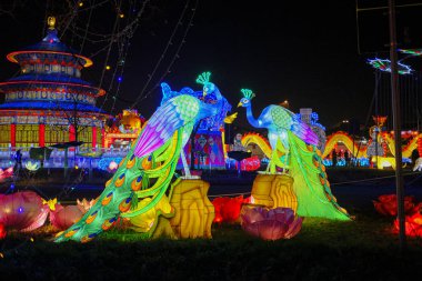 ışık dekorasyonu Çin kağıdı ve metal geleneksel tavus kuşu