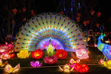 ışık dekorasyonu Çin kağıdı ve metal geleneksel tavus kuşu