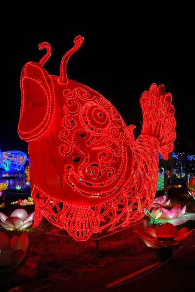 照明装飾中国紙や金属伝統的な鯉提灯 — ストック写真