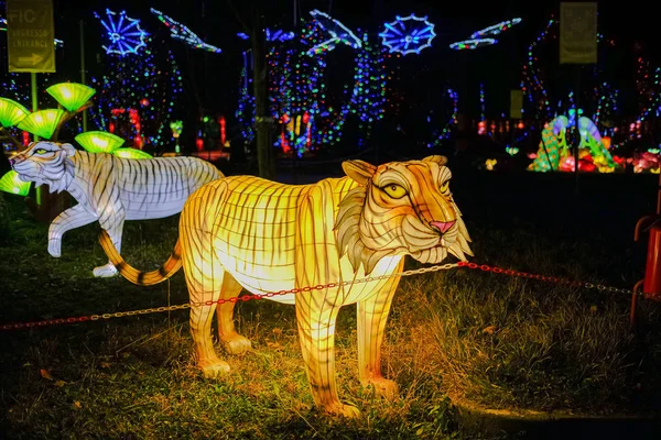 ışık dekorasyonu Çin kağıdı ve metal geleneksel kaplan