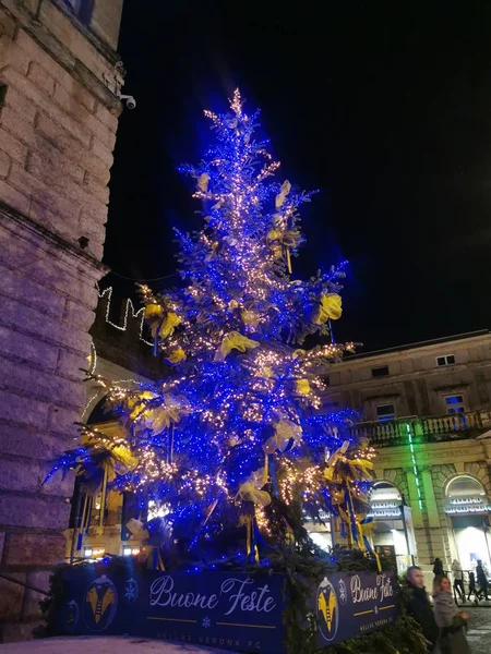 Verona 'nın göbeğindeki Noel ağacı. Mavi ışıkları ve altın süslemeleri var. — Stok fotoğraf