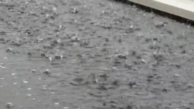 Şiddetli fırtına sırasında yağmur damlaları siyah tankın üzerindeki su birikintisi üzerinde
