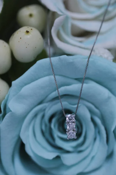 Novia Collar Diamantes Con Diadema Desgastado Solitario — Foto de Stock