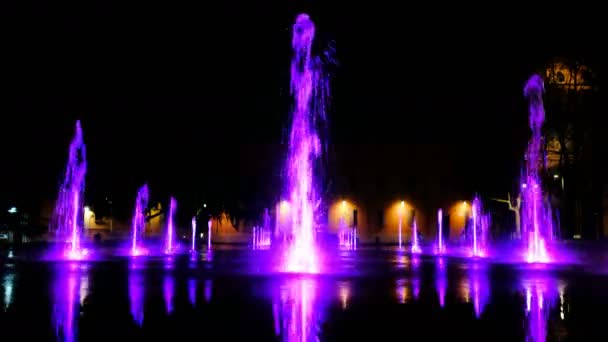 Reggio Emilia Square Purple Luminous Fountain Kobe Bryant Celebration Video — Stock Video